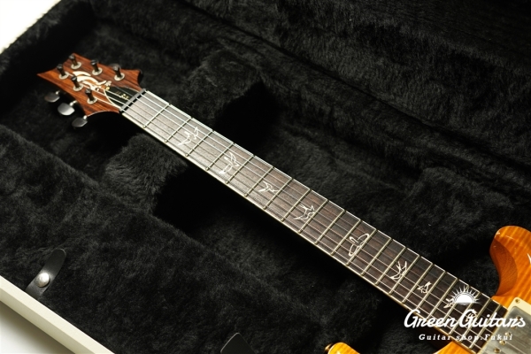 Modern Eagle II 25th Anniversary - Amber【SMO2026】